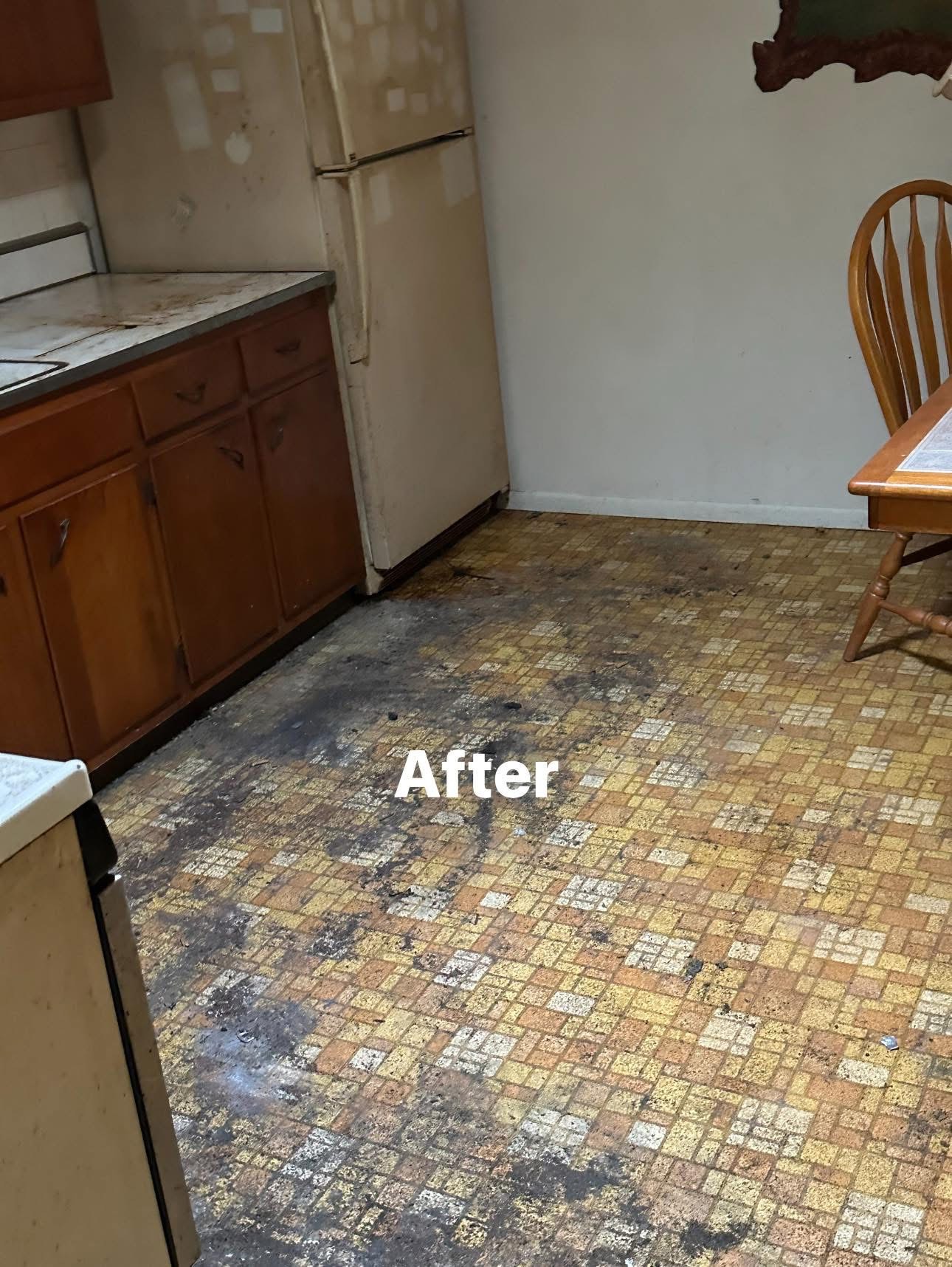 A Smarter Approach to Hoarding Cleanouts